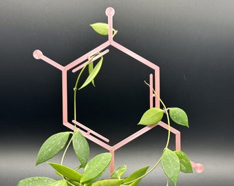 Dopamine Trellis for climbing plants | 3D Printed Dopamine Trellis for indoor House Plants | Science | Chemistry | Biology