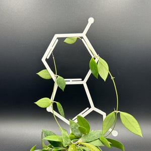Serotonin Trellis for climbing plants | 3D Printed Serotonin Trellis for indoor House Plants | Science | Chemistry | Biology
