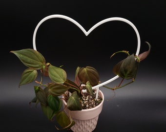 Heart Trellis for climbing plants | 3D Printed Trellis for indoor House Plants | Heart | Love