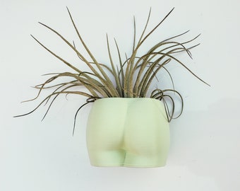 Fridge Magnet Butt Planter | Butt Planter for Indoor House Plants