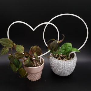Hoop Trellis and Heart Trellis Set for climbing plants | 3D Printed Trellis for indoor House Plants | Circle | Round