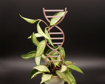 DNA Trellis for climbing plants | 3D Printed Double Helix Trellis for indoor House Plants | Science | Chemistry | Biology