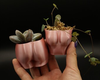 Mini Butt & Boob Planter Set with drainage holes | Booty - Booby Plant for House Plants | 3D Printed | Nude | Woman | Reversible