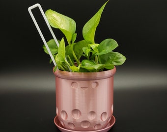 Boba Pot with Tray & Straw | Boba Planter for House Plants