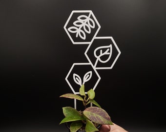 Hexagonal Leaf Trellis for climbing plants | 3D Printed Trellis for indoor House Plants | Hexagon | Leaves
