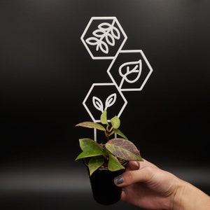 May include: A small potted plant with green leaves growing up a white metal plant trellis with geometric shapes and leaf designs.