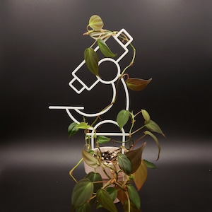 Microscope Trellis for climbing plants | 3D Printed Scope Trellis for indoor House Plants | Science | Chemistry | Biology