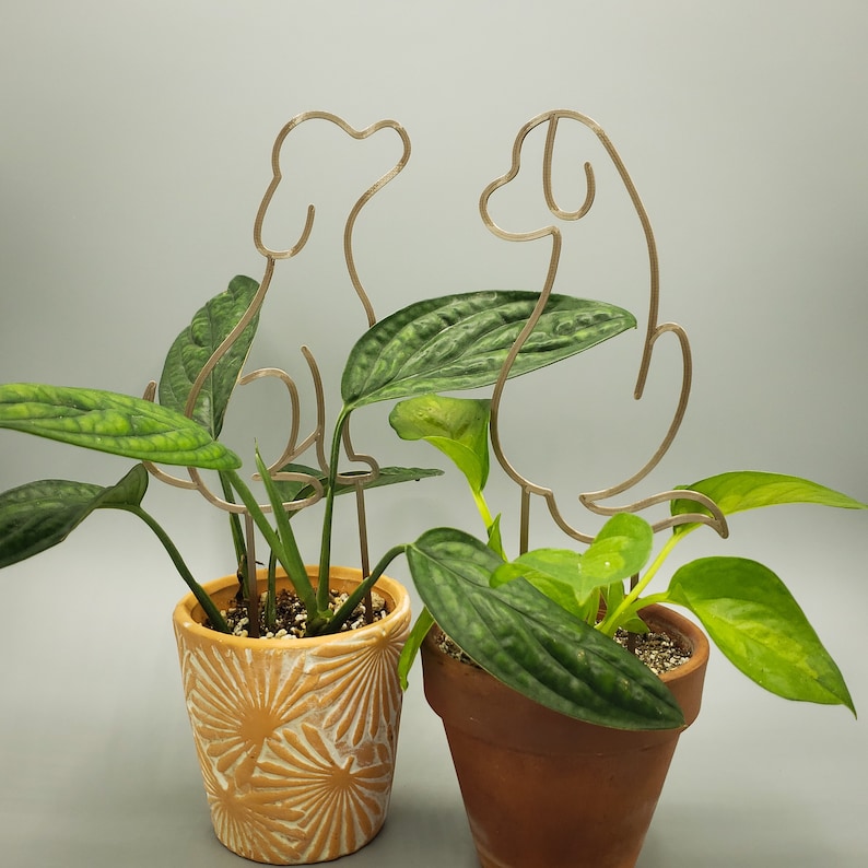 Dog 3D-printed Trellis Set (2)