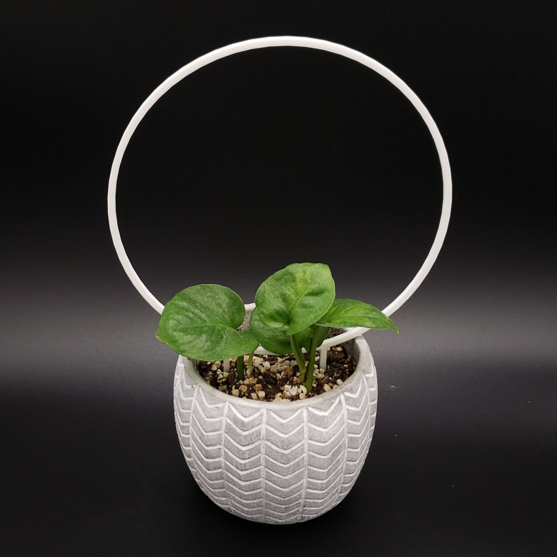 Hoop 3D-printed Trellis