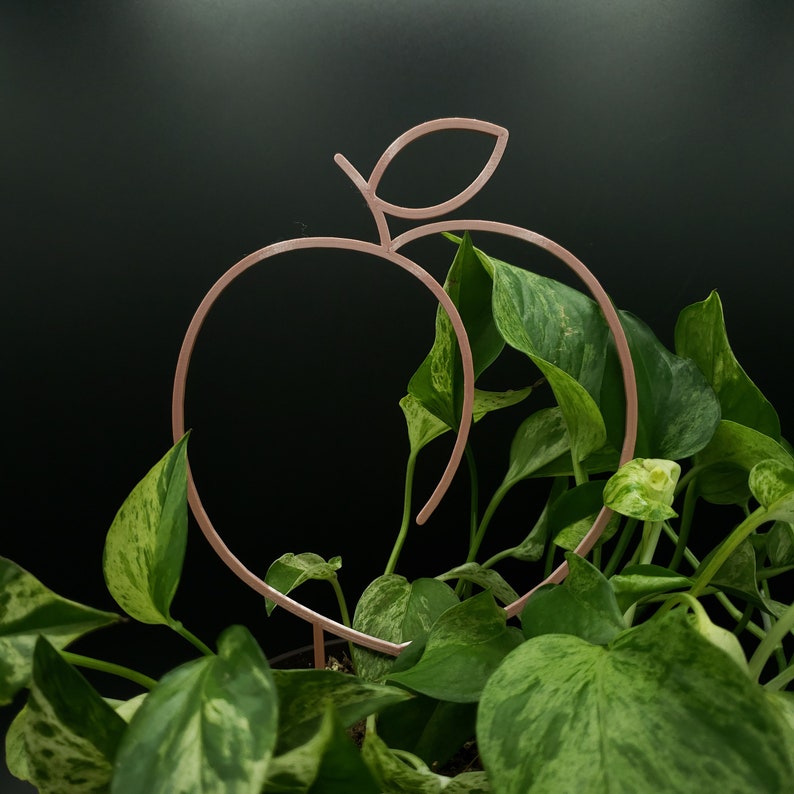 Peach 3D-printed Trellis
