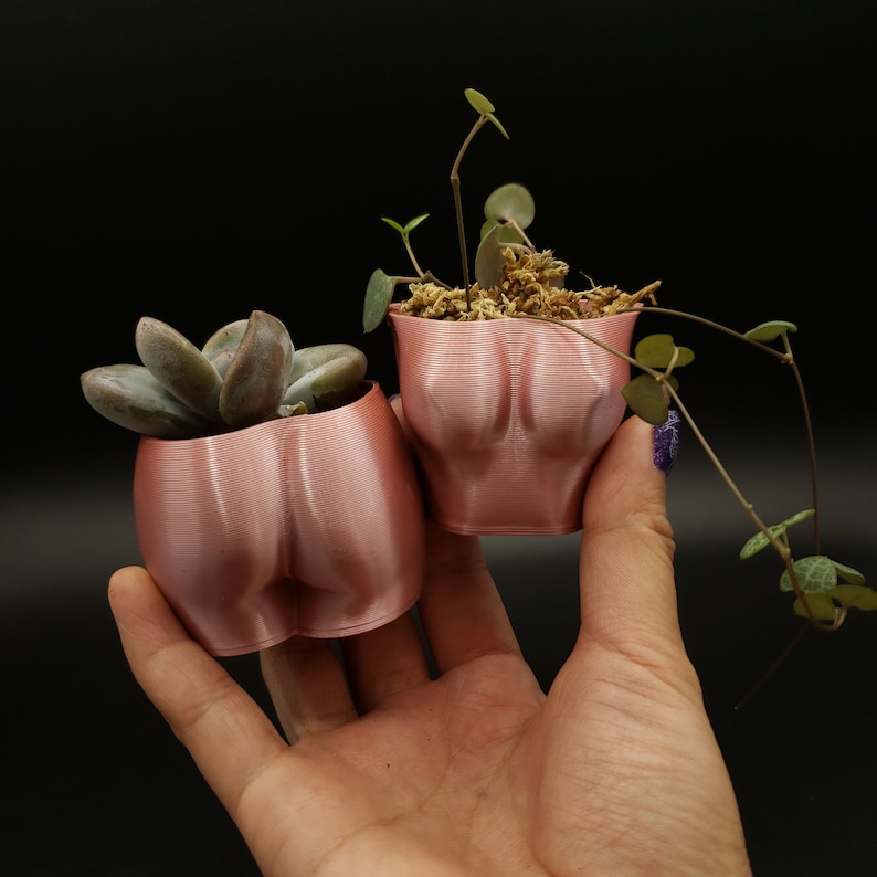 Mini Butt & Boob 3D-printed Planter Set