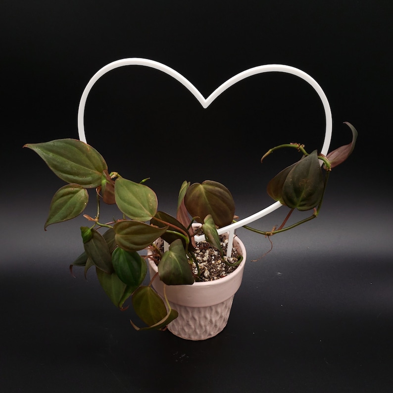 Heart 3D-printed Trellis