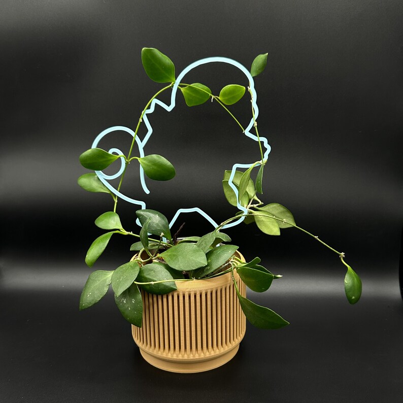 Squirtle 3D-printed Trellis