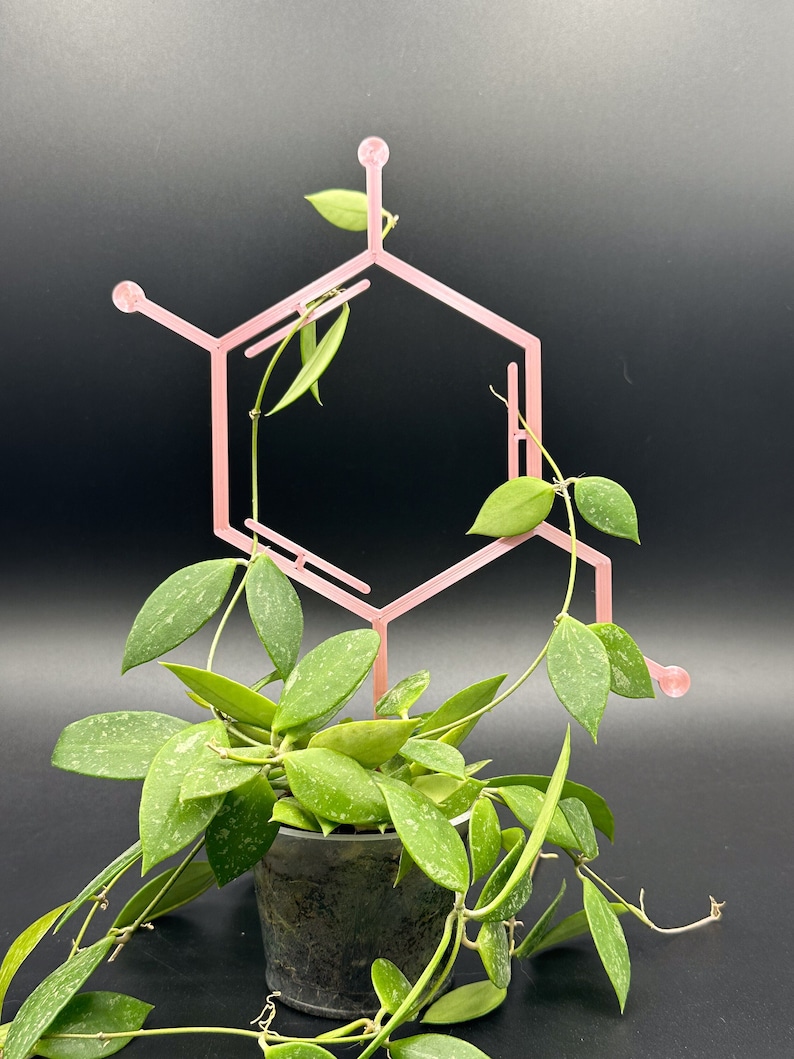 Dopamine 3D-printed Trellis