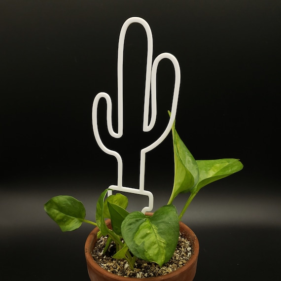 cactus and succulent soil Cacti and Succulent Potting Soil main image 1