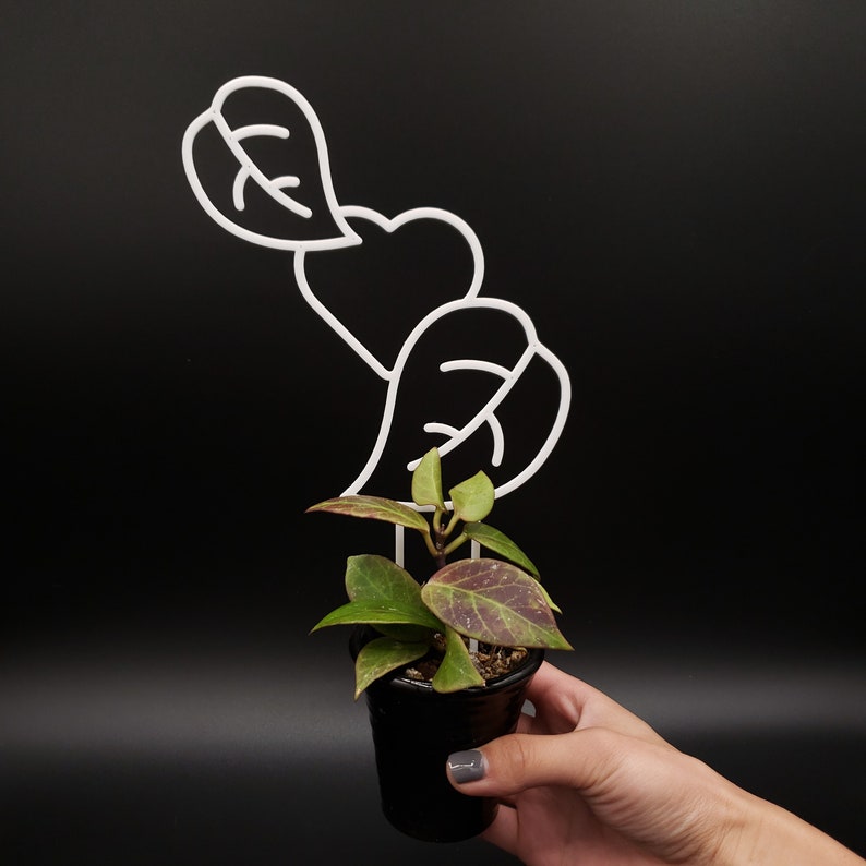 Heart & Leaf 3D-printed Trellis