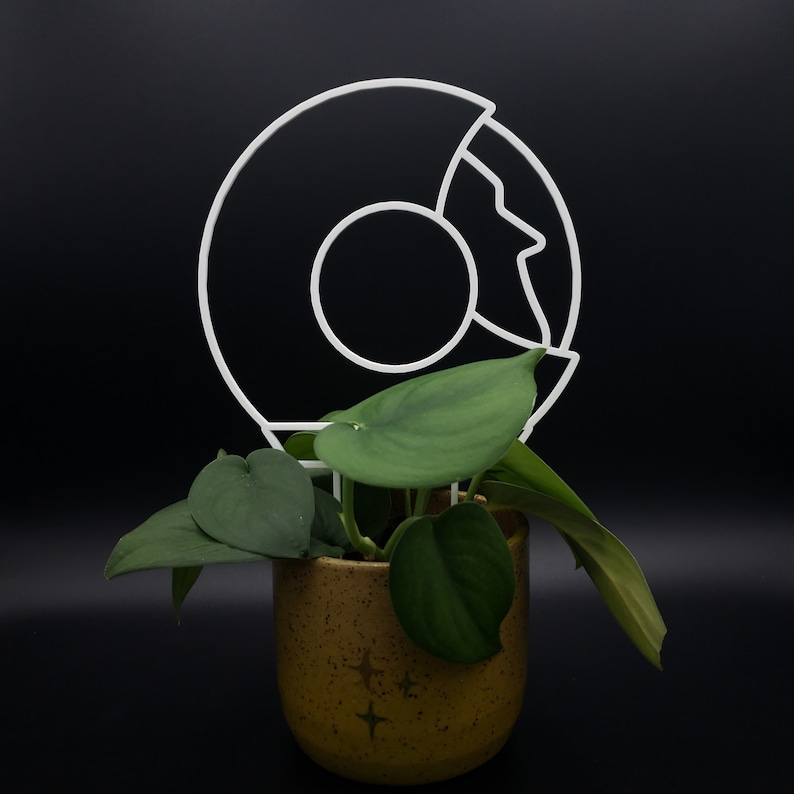Astronaut 3D-printed Trellis