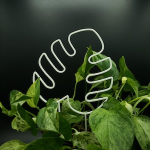 May include: White metal plant stake shaped like a monstera leaf, placed in a pot of green and white variegated houseplants.