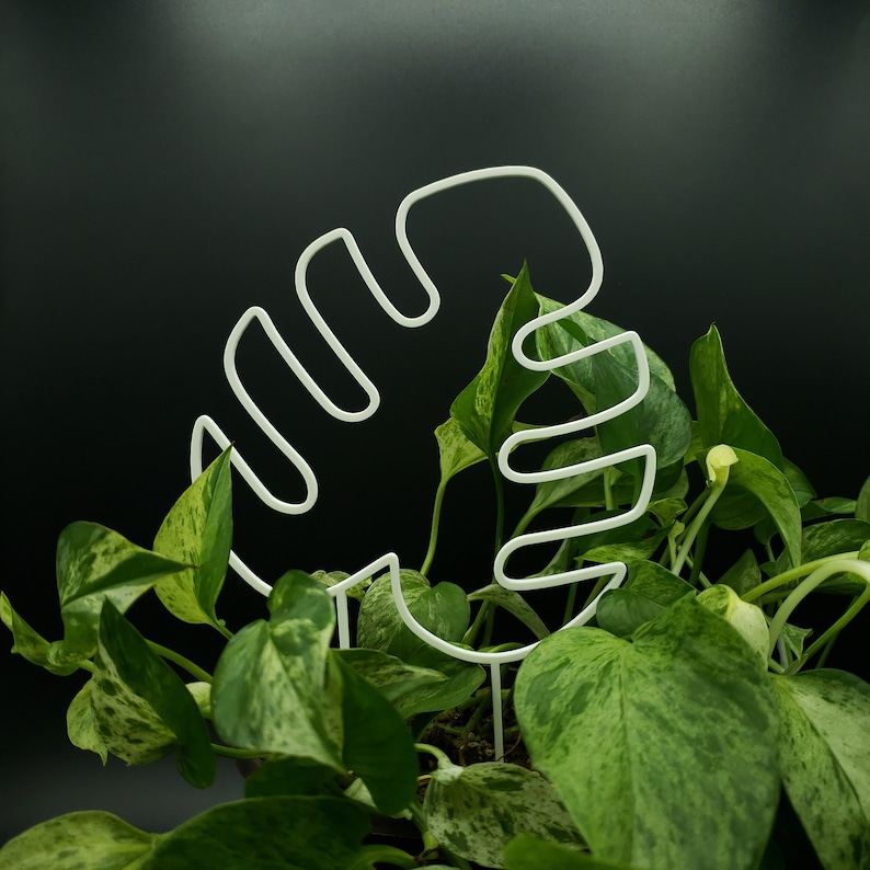 Monstera 3D-printed Trellis