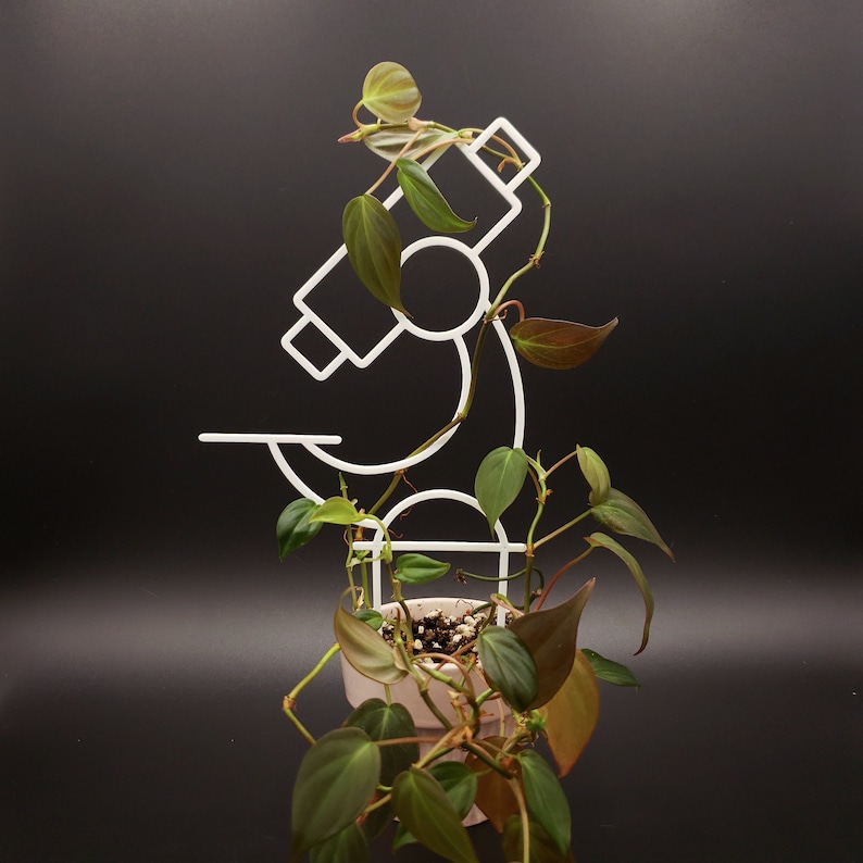 Microscope 3D-printed Trellis