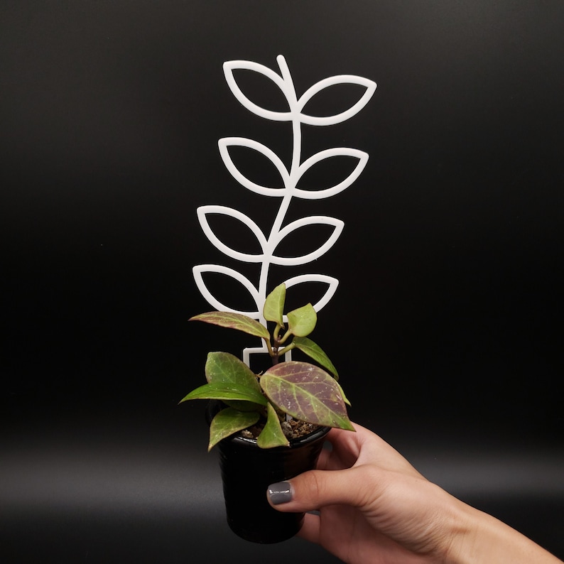 Fern Leaf 3D-printed Trellis