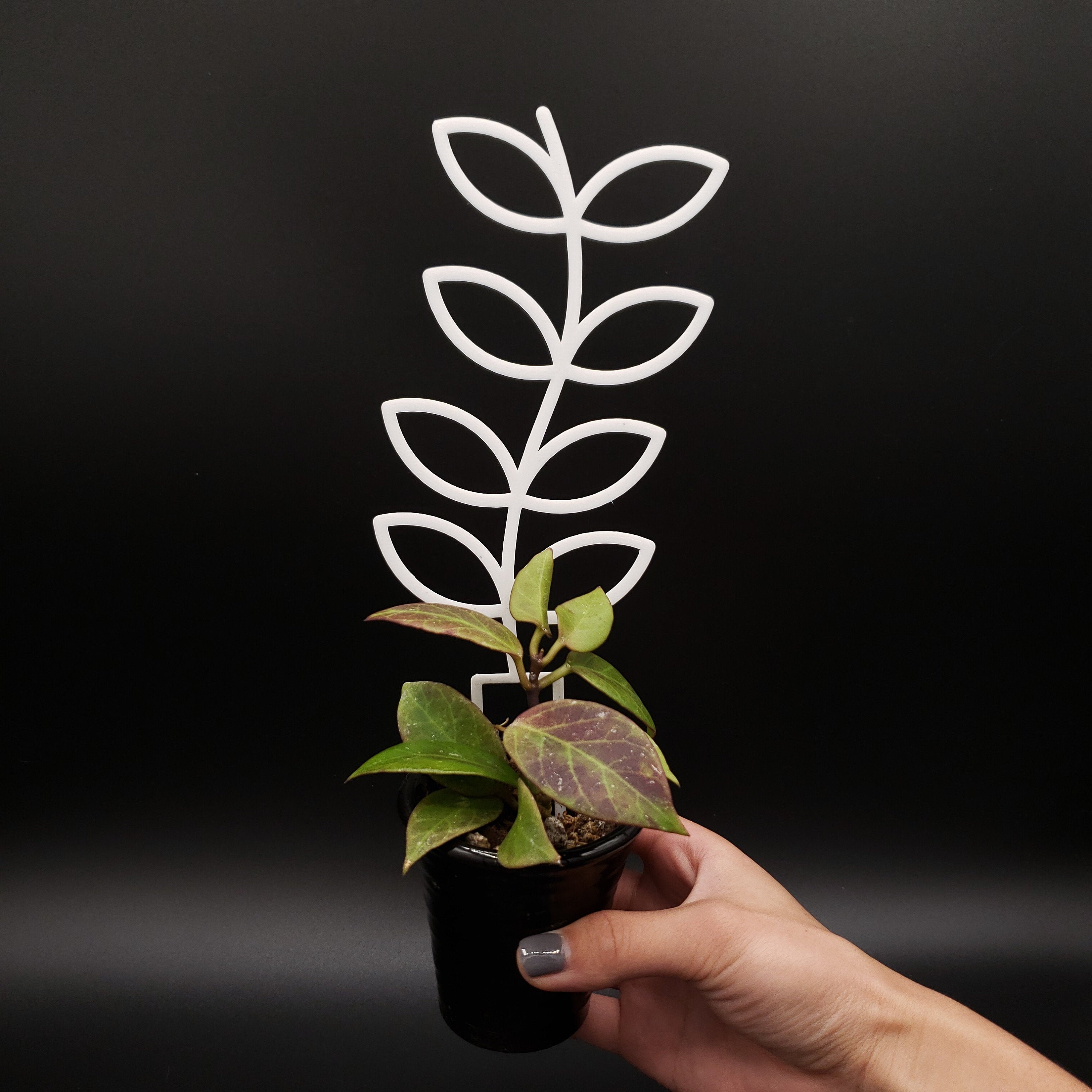 Mini Climbing Plant Pot Support miniature Leaf Trellis 4"W x 11.7"H 6 Pack Green 