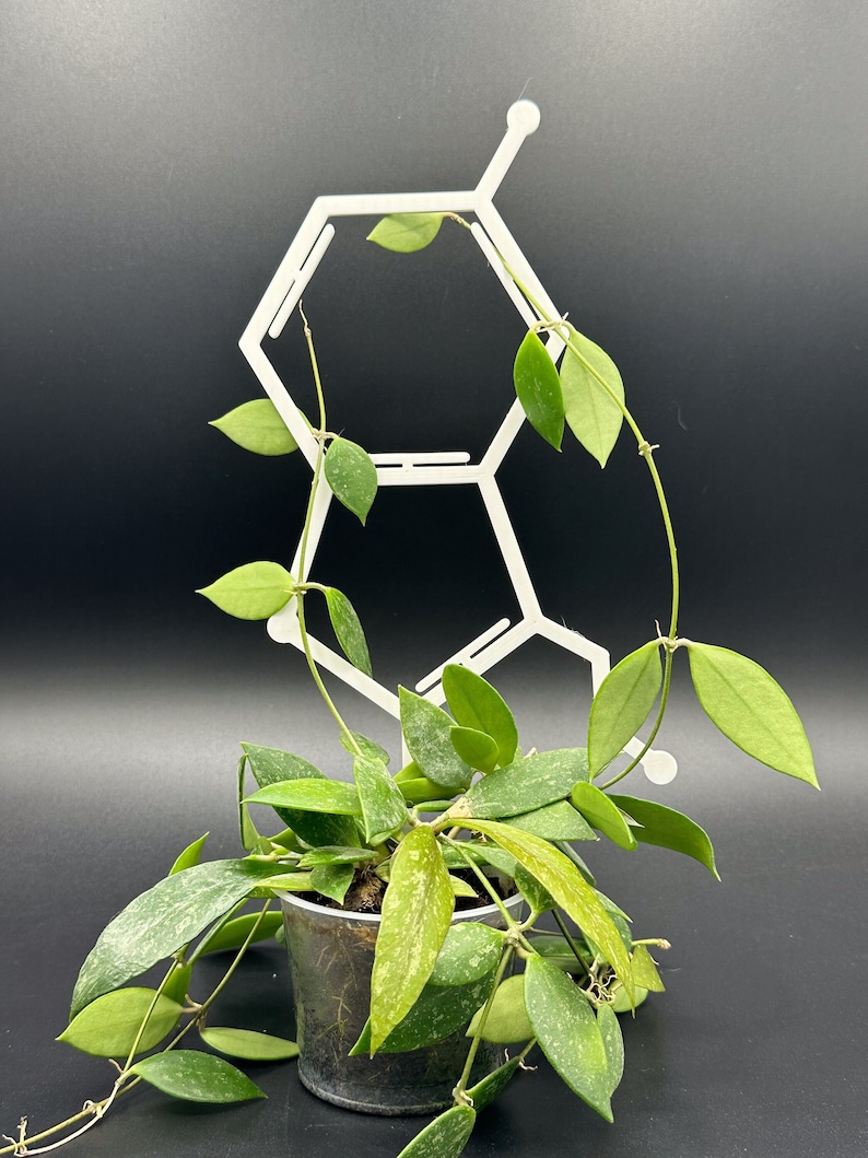 Serotonin 3D-printed Trellis