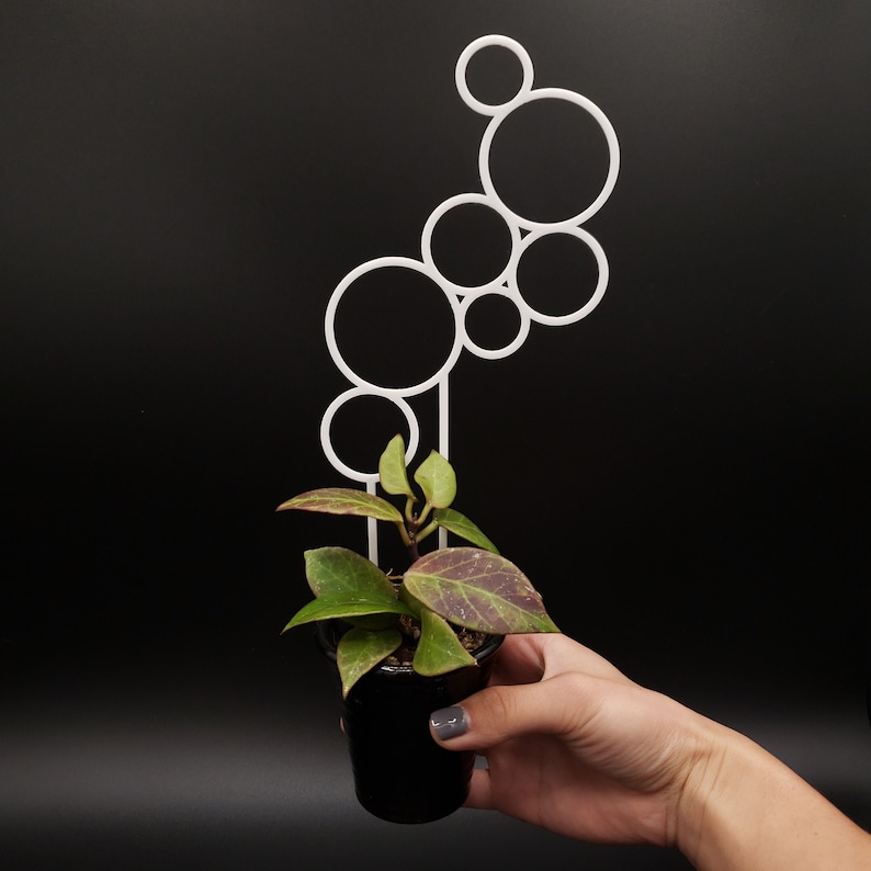 Bubble 3D-printed Trellis