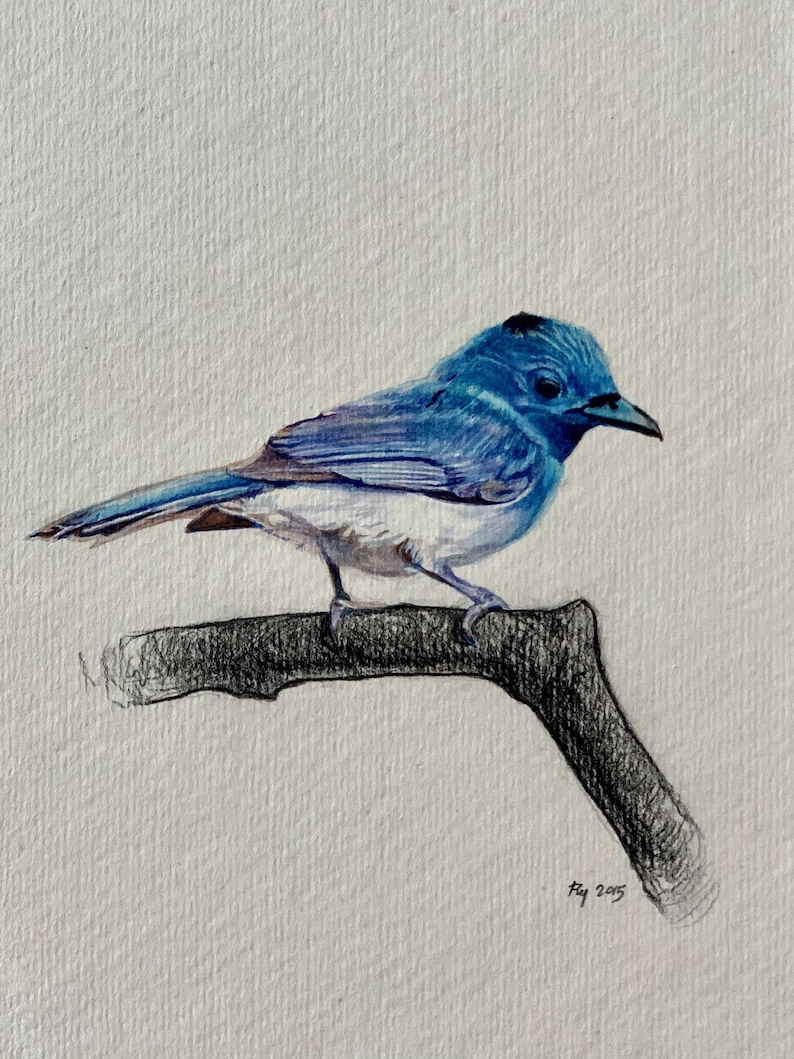 Bird 20