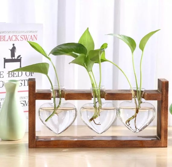 Planter Vintage Hydroponic Plant Vases Wooden Frame Glass Vase Flower Pot Planter Vintage Hydroponic Plant Vases Wooden Frame Glass Vase Flower Pot