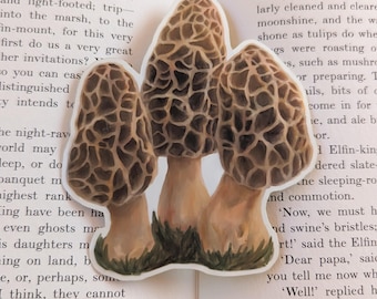 Morel Mushroom Sticker | Forager Fungi, Weather Resistant Vinyl