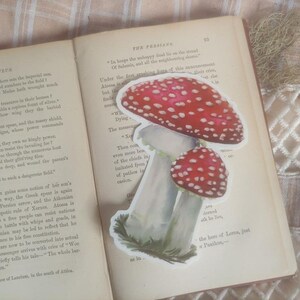 Autocollant champignon amanite || Autocollant en vinyle, résistant aux intempéries, respectueux de l'environnement || Autocollant de champignons, Ephemera, Conte de fées, Champignon rouge, Cottagecore