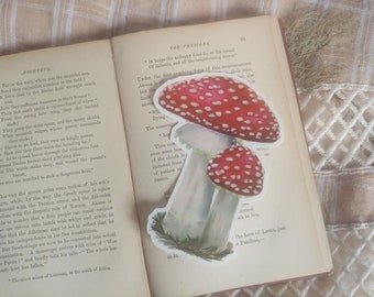 Amanita Mushroom Sticker | Weather Resistant Vinyl Decal