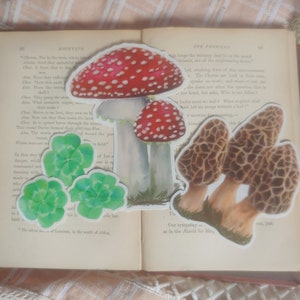 Pack d'autocollants Lucky Forager ; 5 autocollants, une amanite, une morille, trois trèfles ! || Autocollants en vinyle respectueux de l'environnement et résistants aux intempéries, Fungi Fun.