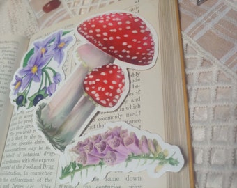 Mini Poison Garden Sticker Pack, 3 Vinyl Stickers of Poisonous Plants || Wonderland, Gothic, Herbalism, Witchy Apothecary, Flower Lover