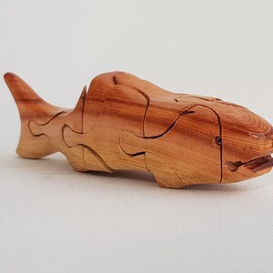3D Shark