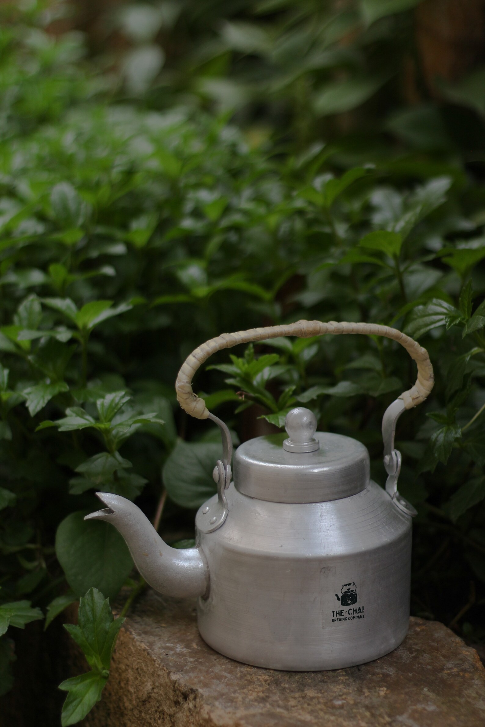 Chai Kettle Special Limited Edition Etsy
