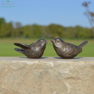 Two bronze sparrows