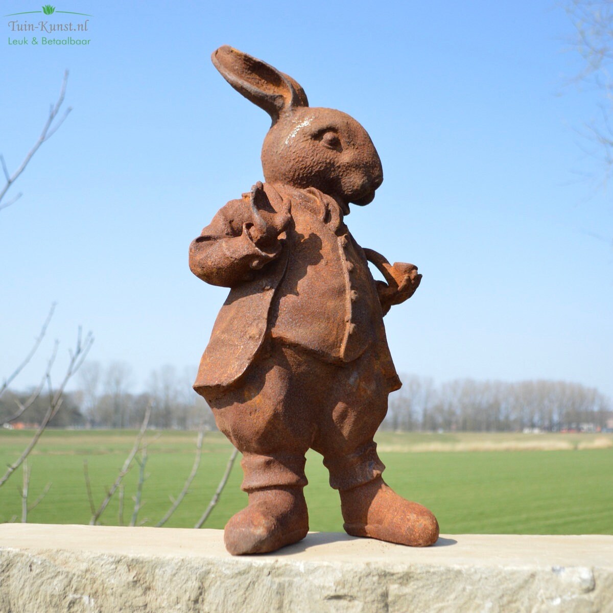 Cast Iron Garden Statue of mister Rabbit Etsy