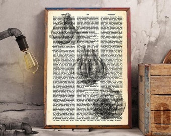 Vintage Garlic Art Print. Real Dictionary Page. Food Art Print. Shop Wall Art. Restaurant Decor. Bistrot Art. Vintage Food Wall Art Garlic