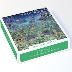 May include: A square box of 20 notecards with envelopes, featuring a green border and the text COAST & COUNTRY. The lid displays an illustration of two hedgehogs in a grassy garden at night, with terracotta pots, a small shed, and a full moon.
