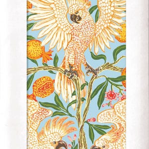 May include: A pack of V&A tissue paper containing 4 sheets. The packaging displays a light blue background with a repeating pattern of white and orange cockatoos, orange pomegranates, and green leaves. The text reads V&A, Tissue Paper, 4 Sheets, and ZERO PLASTIC.
