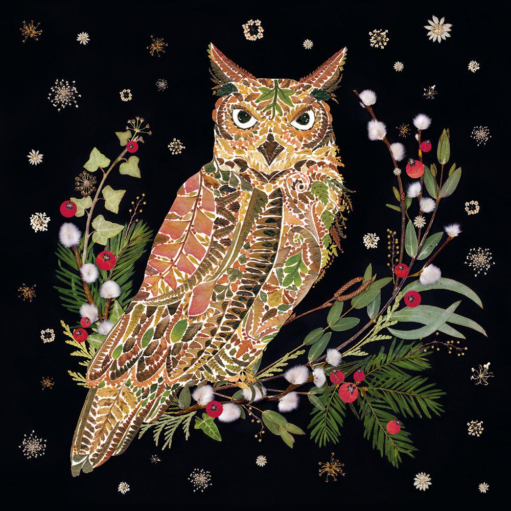 Winter Wild Press Horned Owl by Helen Ahpornsiri Pack of 8 Christmas Cards
