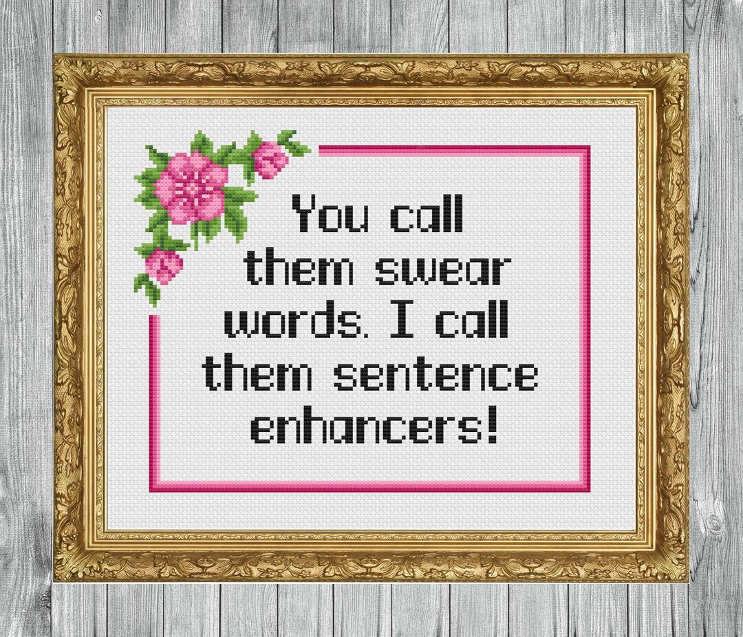 Swear Word Pattern Funny Swear Word Cross Stitch Pattern: Sassy Beginner Needlepoint ...