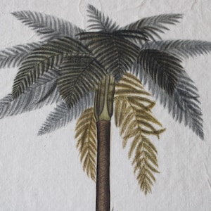 Set di 2 grandi acquerelli botanici vintage su seta su carta giapponese fatta a mano dall'artista francese La Roche Laffitte, alberi e semi