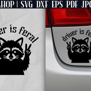 May include: Black raccoon graphic with the text "driver is feral". The raccoon is giving the peace sign with both hands. The image is a sticker or decal design.