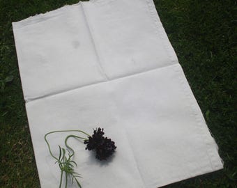 Naturally hand dyed cotton fabric, eco friendly pale green