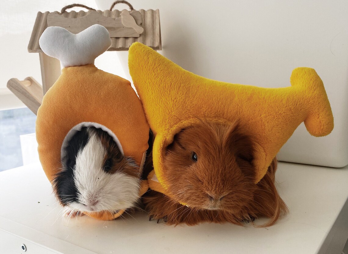 Small Pet / Guinea Pig Stuffed Toy/ Pillow/ Hat Etsy