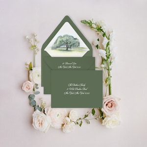 Oak Tree Envelope Liners Featuring an Original Watercolor of a Southern Live Oak Tree