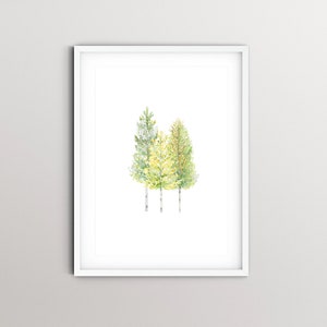 Aspen Trees Watercolor Art Print from an Original, Hand-painted watercolor painting of three aspen trees